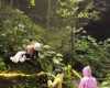 游客在景区玩秋千被工作人员拉拽绳索“锁喉”拉伤，景区：在整改了