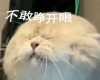 世界杯开赛！竞猜也要守好“禁区”