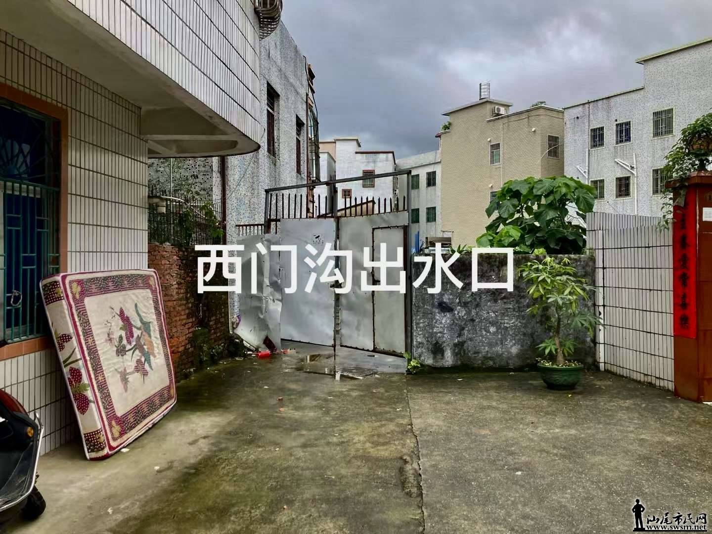 微信图片_20260615082735_4289_15.jpg