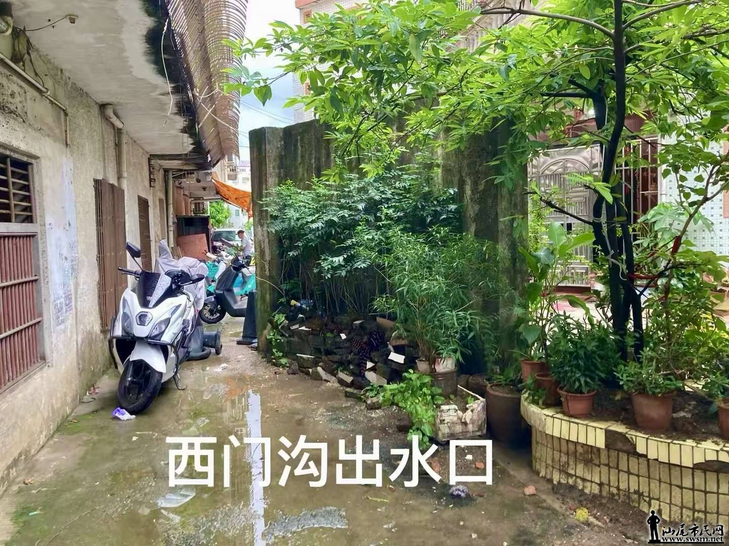 微信图片_20260615082736_4290_15.jpg