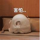 微信图片_2026-06-15_090650_203.png