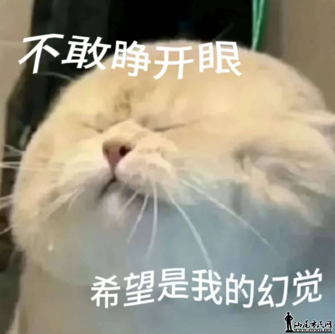 微信图片_2026-06-15_090647_042.png