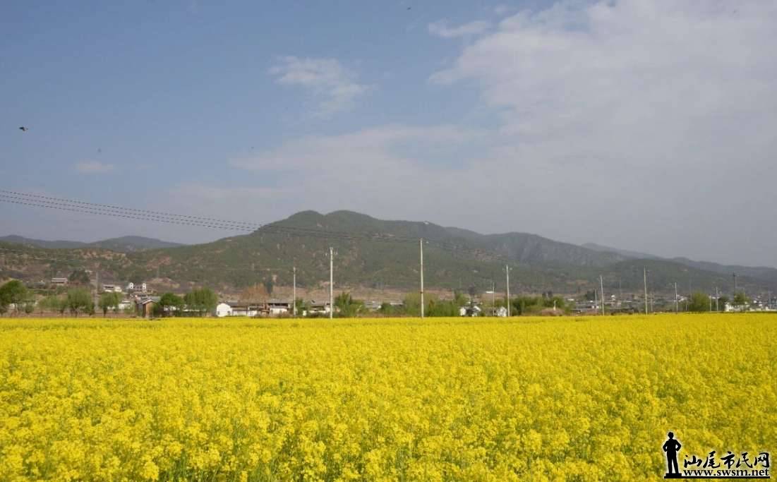 韩师18.png